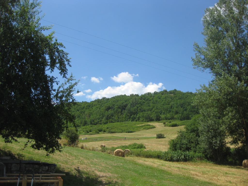 Domaine La Rose Bed and Breakfast Caylus Eksteriør billede